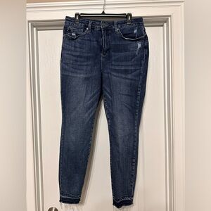 Judy Blue Skinny Jeans 16W